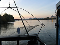 Daubelfischen in Wien an der Donau